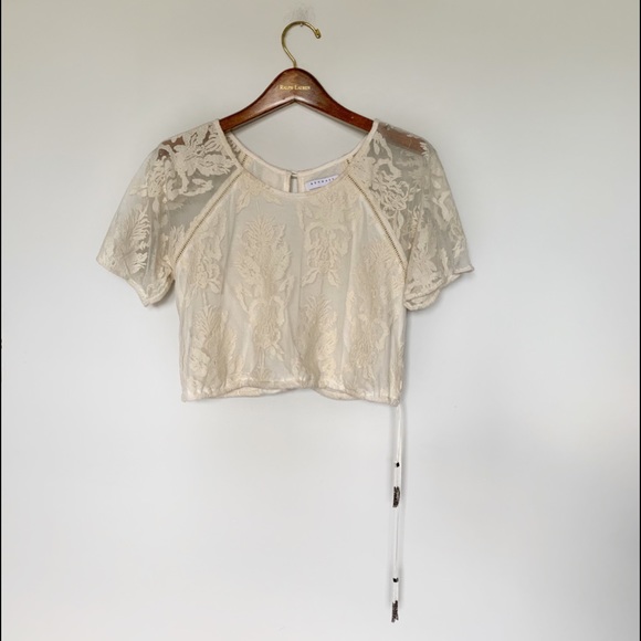 Kendall & Kylie Tops - Kendall and Kylie Crop Top Size Medium